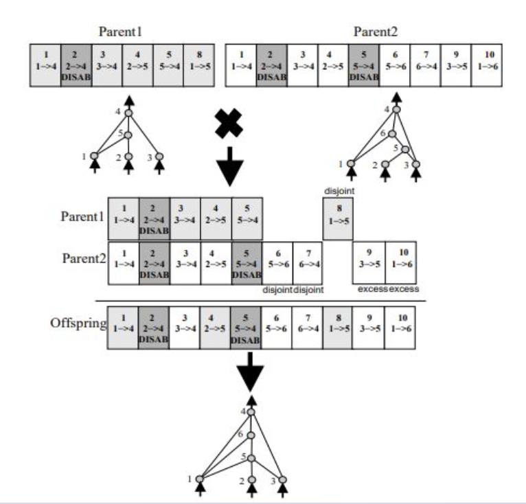Genetic Algorithms Survey Presentation